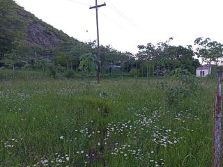 Georgia camping ground - campsite and glamping Ateni Sioni - Gori - 2