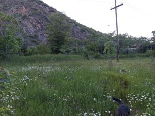 Georgia camping ground - campsite and glamping Ateni Sioni - 1