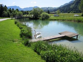 Pension Essbaum - Walchsee - 4