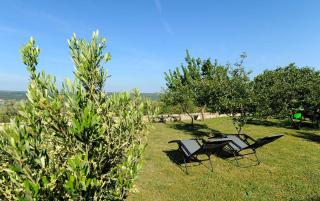 Family friendly apartments with a swimming pool Krusevo, Novigrad - 23039 - 3