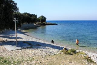Apartments with a parking space Bale, Rovinj - 22881 - Bale - 9