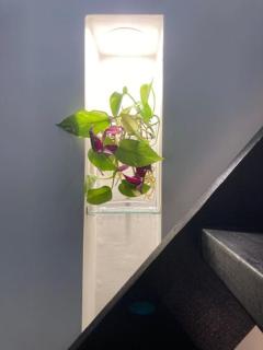 Nature Retreat & Artists Studio 90mins from Sydney - Spencer - 8