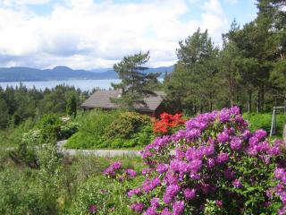Fjordhytte-40 im Vestland - Hordaland nahe Rosendal - Rosendal - 3