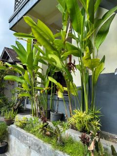 Rama Homestay - Ubud - 1