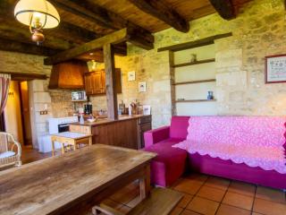 Maison avec jardin, Wifi, animaux acceptés près de Sarlat - FR-1-616-45 - Bardenac - 9