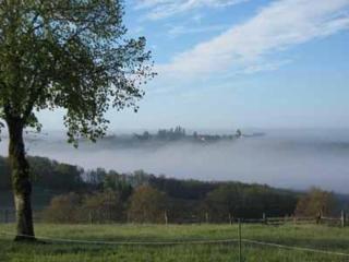 Maison avec jardin, Wifi, animaux acceptés près de Sarlat - FR-1-616-45 - Bardenac - 3