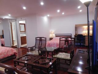 A Spacious Holiday Suite - 5