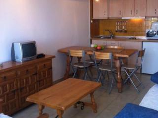 VISTA BAHIA 23 - Apartamento en primera línea de mar a pocos metros del centro de Empuriabrava con aparcamiento. - ES-228-183 - Empuriabrava - 7
