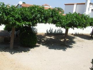 VISTA BAHIA 23 - Apartamento en primera línea de mar a pocos metros del centro de Empuriabrava con aparcamiento. - ES-228-183 - Empuriabrava - 1