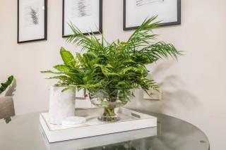 VAQUAY Allure in Melbourne CBD - Melbourne - 6