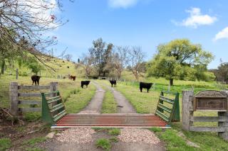 Sunny Hills Farm Retreat - Conjola - 1
