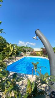 Residence Tomani with XXL pool - Bale - 6