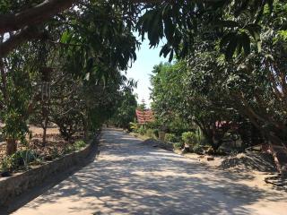 The poolhouse at McKirdy's mango farm - 9