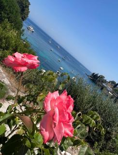 Aronis Spyros Panoramic Seaview Apartments - Longos - 6