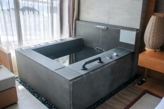 Holiday Inn Resort Yichun Mingyue Mountain by IHG - Yichun - 3