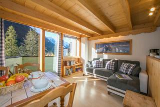 Résidence Grand Roc - Ancolies 206 Happy Rentals - Chamonix - 0