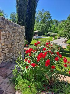 Le clos des oliviers - 3