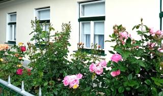 Ferienhaus Anna - Prottes - 7