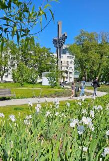 Ujejskiego 27 - Gdynia - 3