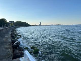Ujejskiego 27 - Gdynia - 7