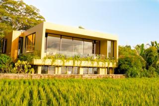 Hygge Villa Ubud - 2