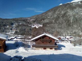 Chalet cosy au pied du Mont Blanc - Les Houches - 0