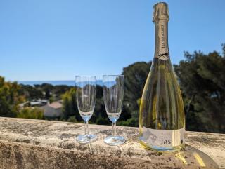 Grande villa aux Issambres 500m de la plage - Les Issambres - 1
