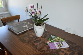 Apartma narava - Begunje pri Cerknici - 6