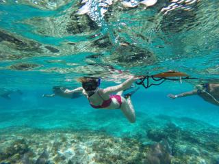 Blue Angel Resort - Cozumel - 1