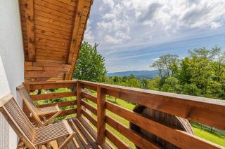 Vineyard Cottage Rataj 2 - Novo Mesto - 9