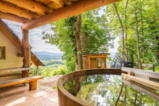 Vineyard Cottage Rataj 2 - Novo Mesto - 8