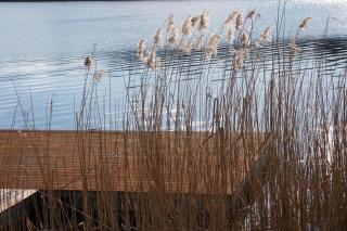 Domek Wikno 3 Woda i Las - 1