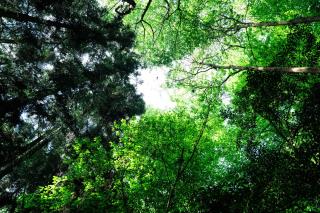 GLAMPING GATE 奈良 - Nara - 8