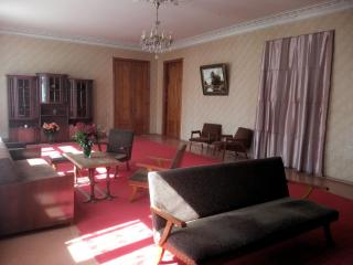 Two bedroom suite - Zugdidi - 3