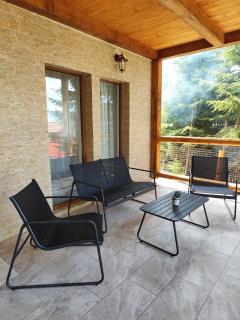 Woodland house ** - Sântimbru-Băi - 6