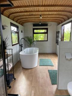 Flower Power - Anna Paulowna - 4