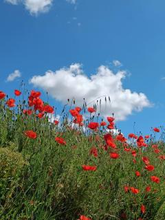 chambre d'hôtes Et Puis Voilà! - 2