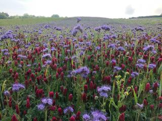 Plover House - Kelling - 3