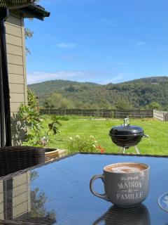Victorian cottage overlooking the Plym Valley - Bickleigh - 7