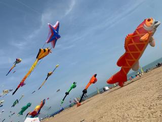 Emma - Lido di Jesolo - 4