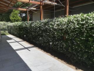 Alloggio Turistico Castel di Leva - Castel di Leva - 4