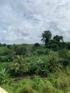 Villa Awandini - Canggu - 6