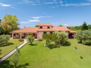 Tenuta Vallegaia - Rosignano Marittimo - 7