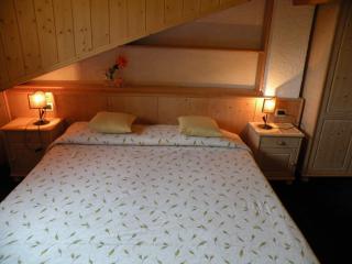 Hotel Vajolet - Mazzin - 2