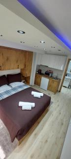 Apartments Villa Berta Tuzla - 102 Superior Studio Apartment - Free Private Secured Parking - Tuzla - 4