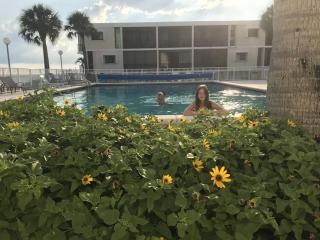 Oceanfront bliss, heated pool & beach #31 - Marathon - 7