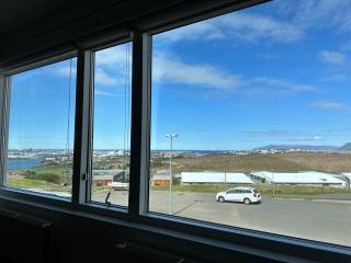 Apartment in Maríubaugur,with fantastic view over Reykjavik - Birta Rentals - Reykjavik - 4