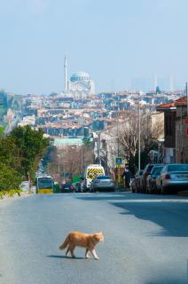İstanbul Efes Hotel - Istanbul - 3