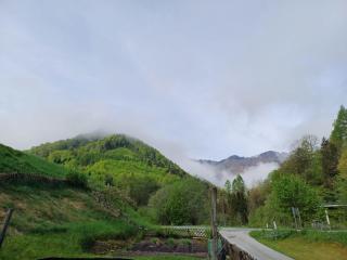 Wohnung im Nationalpark Kalkalpen 2 - 9
