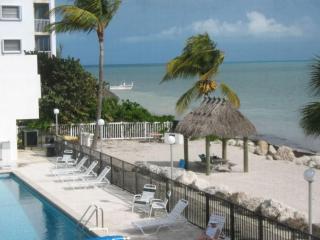 Oceanview Retreat with Pool Steps Away From Beach #14 - Marathon - 6